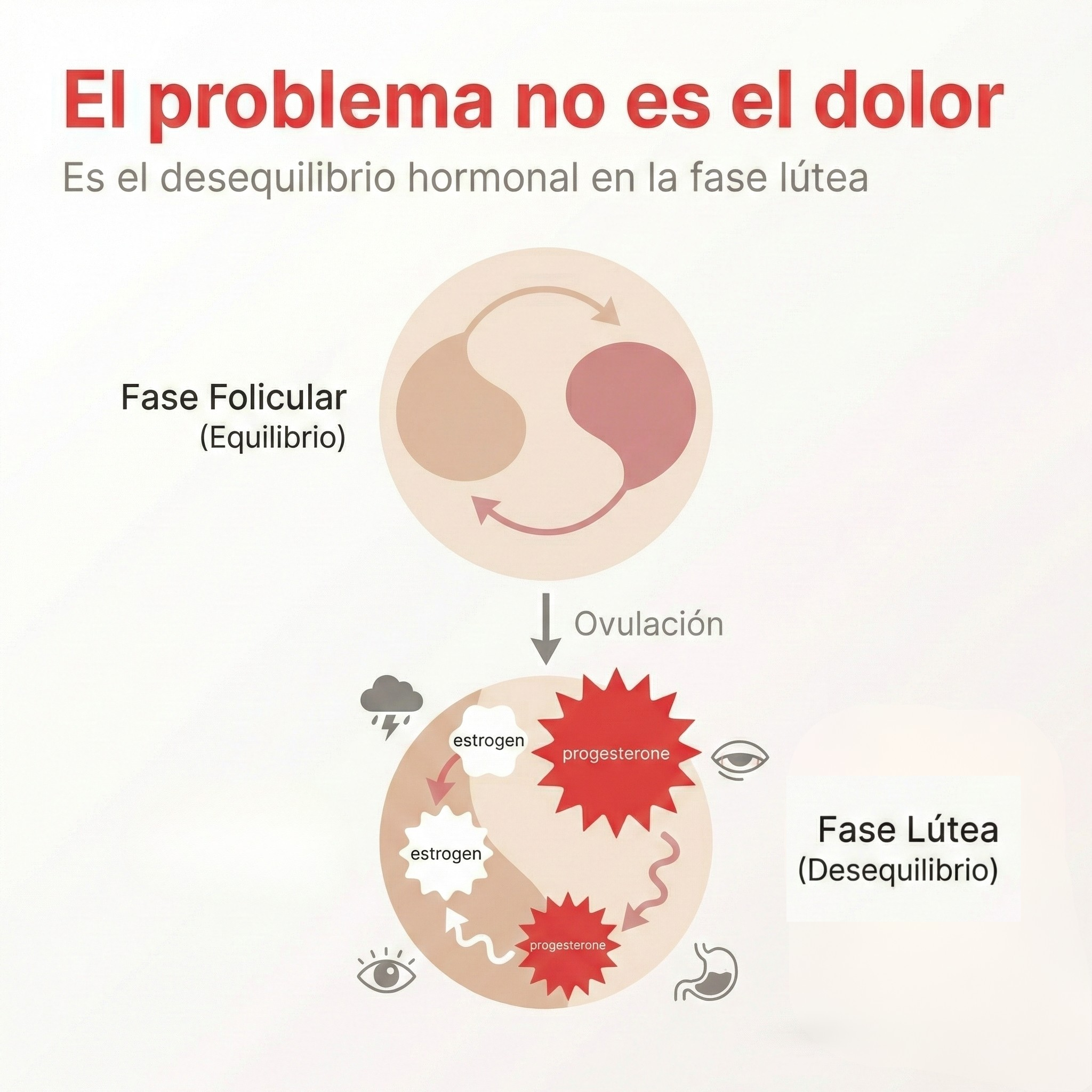 Cíclika - Gominolas para Alivio del Síndrome Premenstrual (60 gominolas)